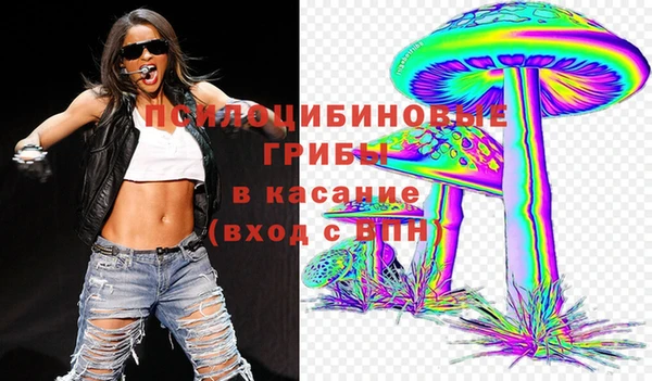 МДПВ Бронницы